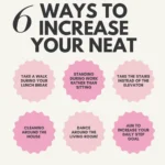 6 Ways To Increase Your NEAT