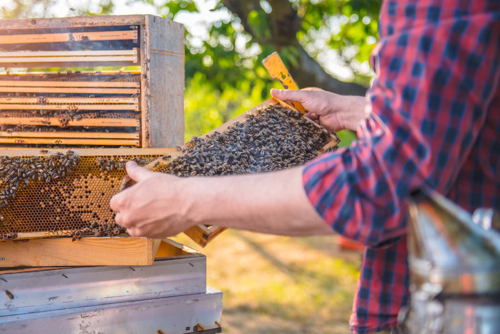 Honey Wrap to Treat Mucus Buildup and Coughs