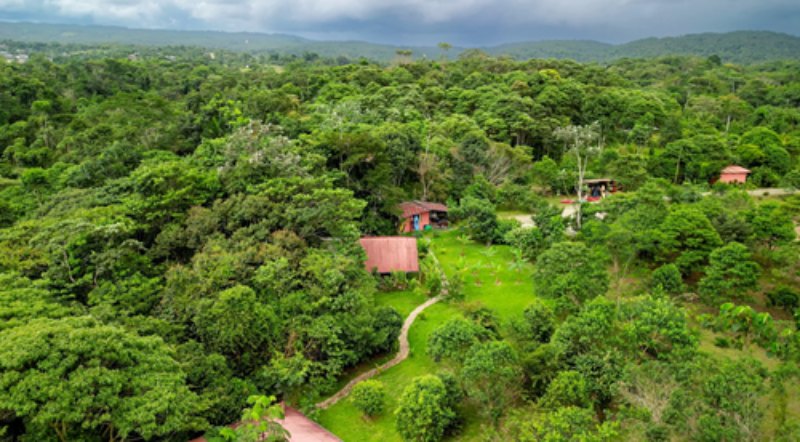 Retreat in Ecuador with Ayahuasca