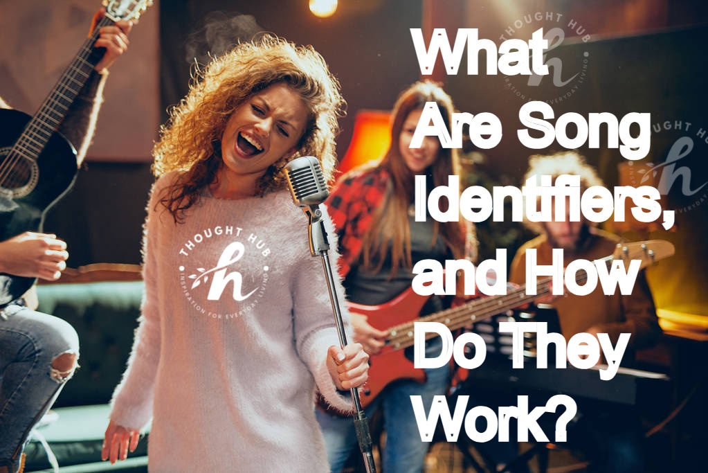 What Are Song Identifiers, and How Do They Work?